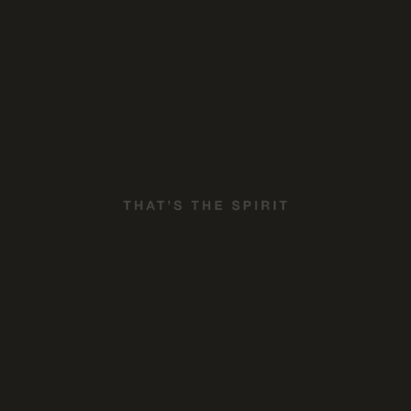 BRING ME THE HORIZON - That's The Spirit Vinyl - JWrayRecords