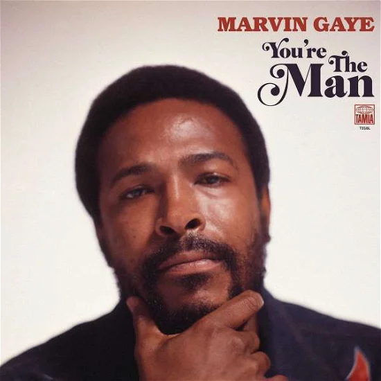 MARVIN GAYE - You're The Man Vinyl - JWrayRecords
