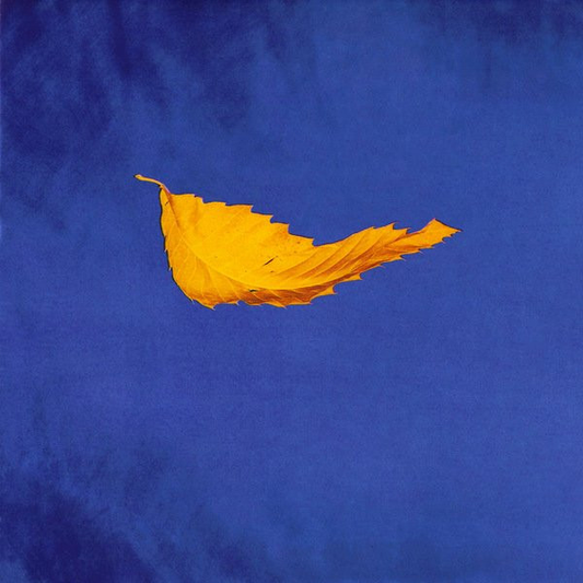 NEW ORDER - True Faith Vinyl - JWrayRecords