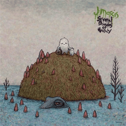 J MASCIS - Several Shades of Why Vinyl - JWrayRecords