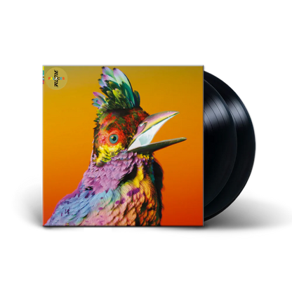 FLUME - Palaces Vinyl - JWrayRecords