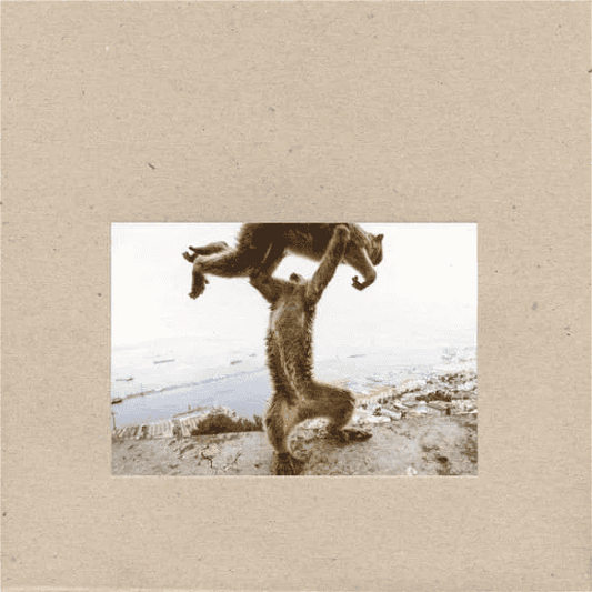 SHELLAC - Dude Incredible Vinyl - JWrayRecords