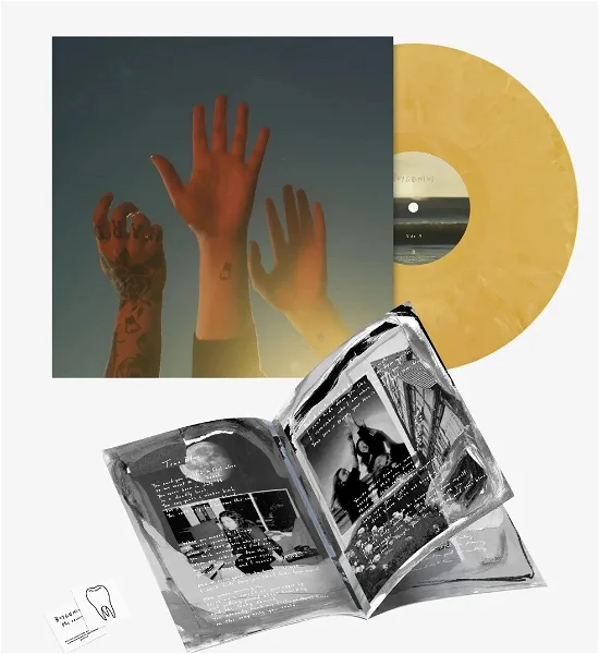 BOYGENIUS - The Record Vinyl - JWrayRecords