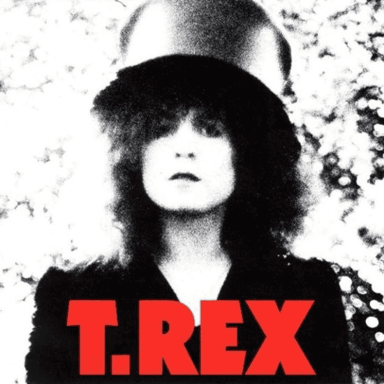 T.REX - The Slider (NM/VG+) Vinyl - JWrayRecords