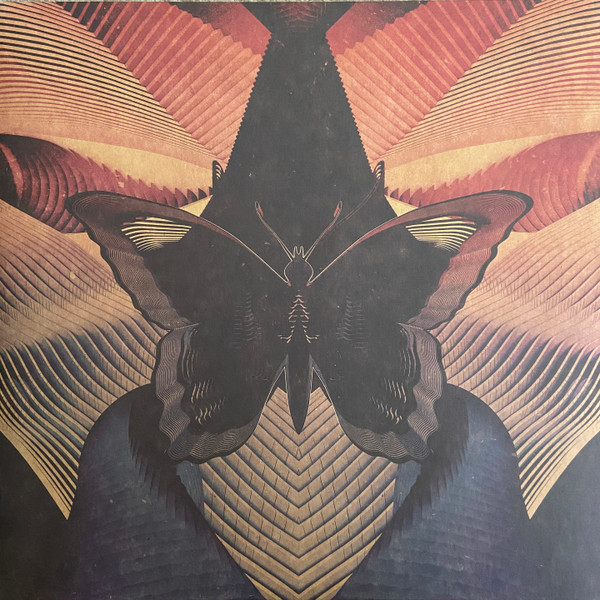 THORNHILL - Butterfly (NM/NM) Vinyl - JWrayRecords