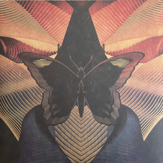 THORNHILL - Butterfly (NM/NM) Vinyl - JWrayRecords