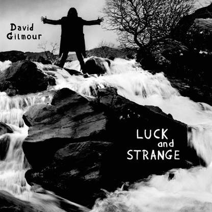 DAVID GILMOUR - Luck and Strange Vinyl - JWrayRecords