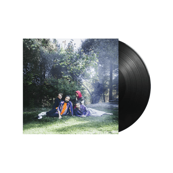 BIG THIEF - U.F.O.F Vinyl - JWrayRecords