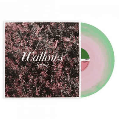 WALLOWS - Spring Vinyl - JWrayRecords