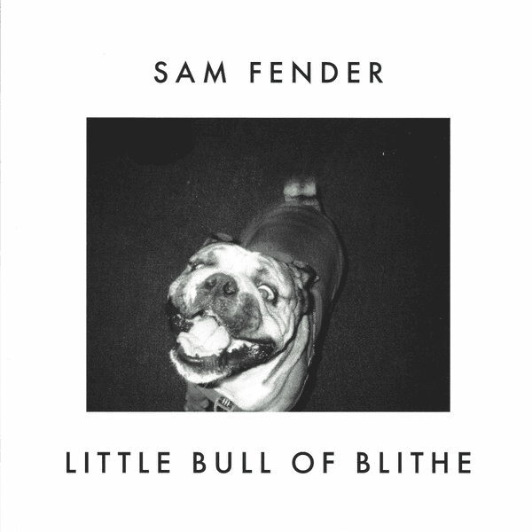 SAM FENDER - Wild Grey Ocean / Little Bull Of Blithe (RSD 7") Vinyl - JWrayRecords