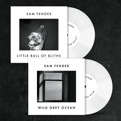 SAM FENDER - Wild Grey Ocean / Little Bull Of Blithe (RSD 7") Vinyl - JWrayRecords