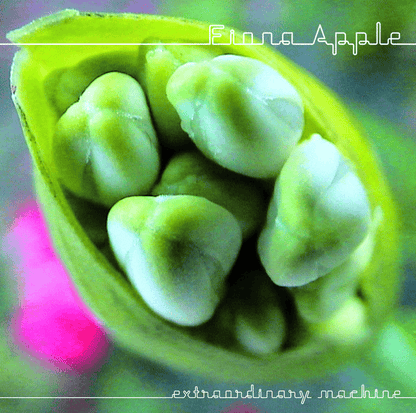 FIONA APPLE - Extraordinary Machine Vinyl - JWrayRecords