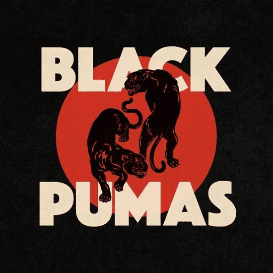 BLACK PUMAS - Black Pumas Vinyl - JWrayRecords