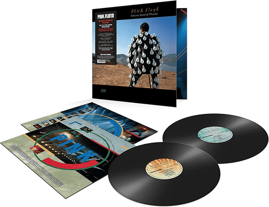 PINK FLOYD - Delicate Sound of Thunder Vinyl - JWrayRecords
