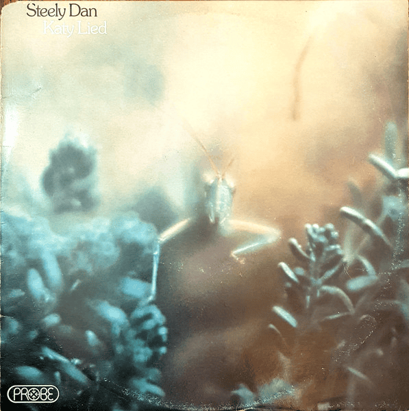 STEELY DAN - Katy Lied (VG+/VG) Vinyl - JWrayRecords