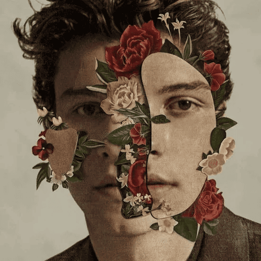 SHAWN MENDES - Shawn Mendes Vinyl