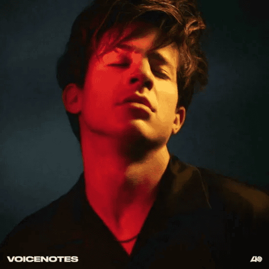 CHARLIE PUTH - Voicenotes Vinyl