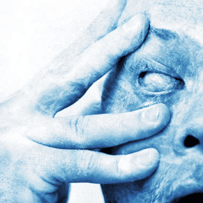 PORCUPINE TREE - In Absentia Vinyl