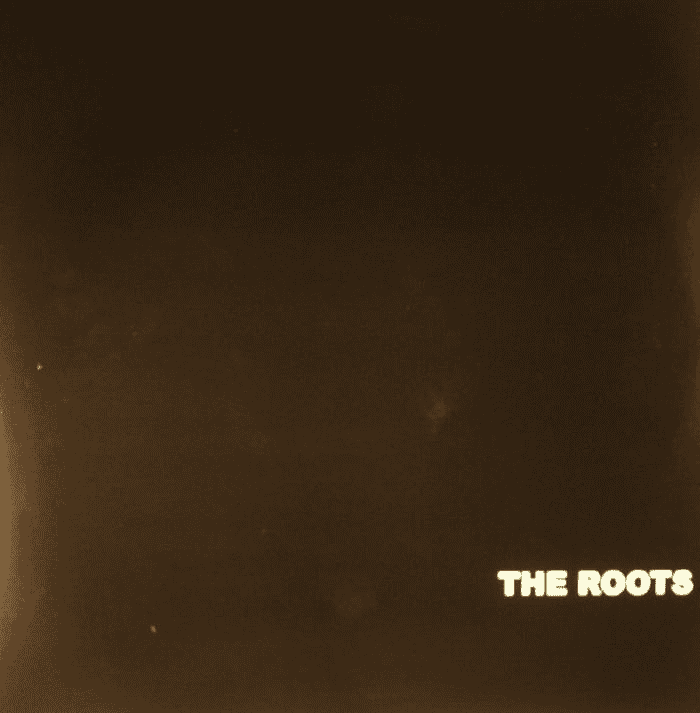 THE ROOTS - Organix Vinyl