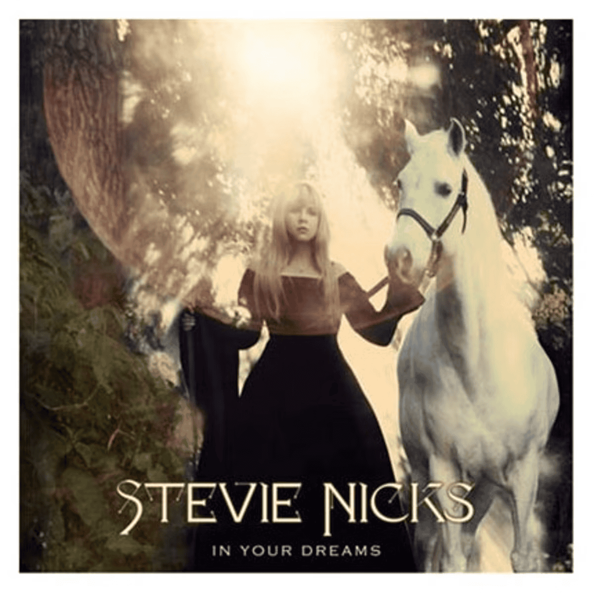 STEVIE NICKS - In Your Dreams Vinyl