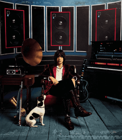 JULIAN CASABLANCAS - Phrazes For The Young Vinyl