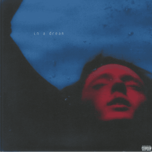 TROYE SIVAN - In A Dream Vinyl