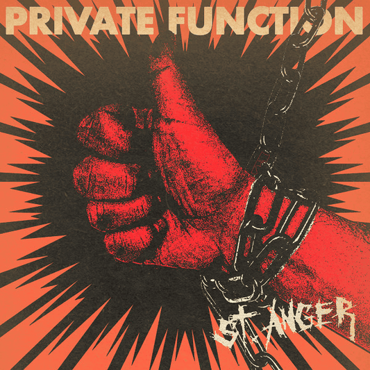 PRIVATE FUNCTION - St. Anger (NM/NM) Vinyl