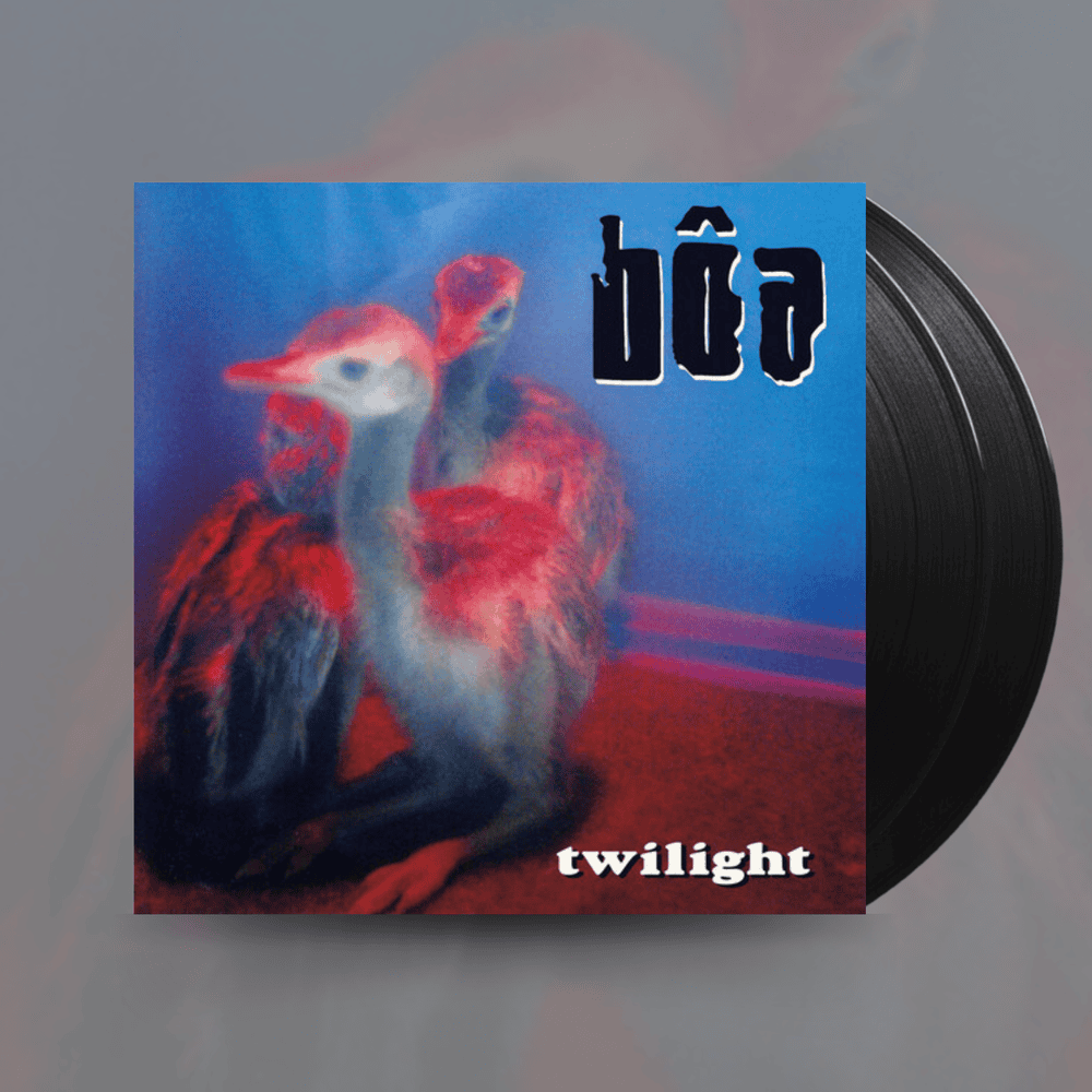 BOA - Twilight Vinyl