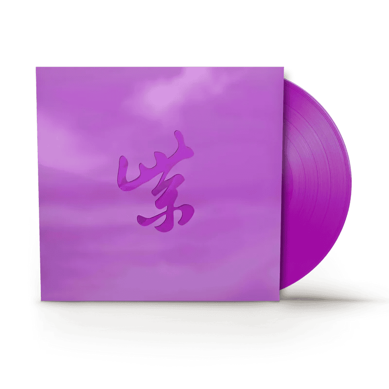 STONE TEMPLE PILOTS - PURPLE RARITIES 30TH ANNIVERSARY SUPER DELUXE RSD Black Friday 2024 Vinyl