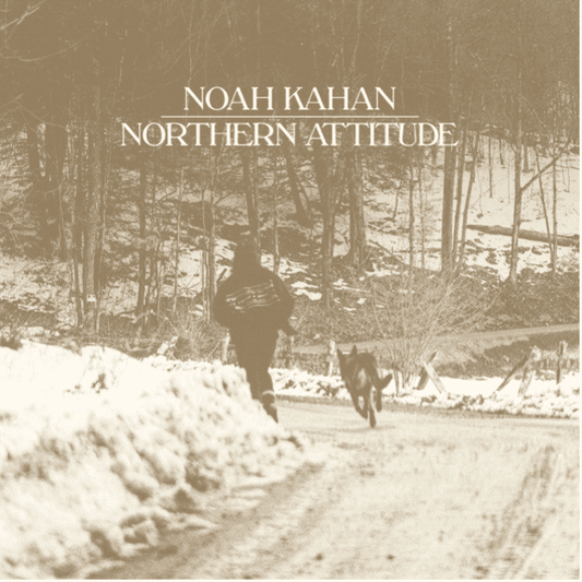 NOAH KAHAN - Northern Attitude 7" Single Vinyl