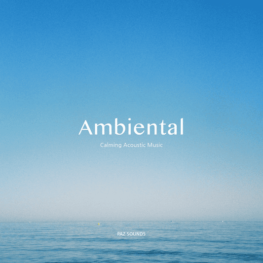 PAZ SOUNDS - Ambiental EP Vinyl