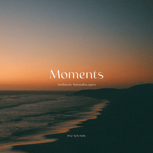 PAZ SOUNDS - Moments Vinyl