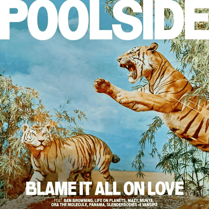 POOLSIDE - Blame It All On Love Vinyl