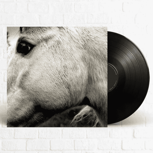 BONNY LIGHT HORSEMAN - Bonny Light Horseman Vinyl