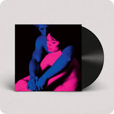 TV GIRL - Who Really Cares Vinyl