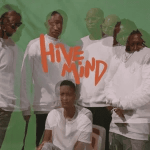 THE INTERNET - Hive Mind Vinyl