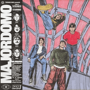 TEENAGE DADS - Majordomo Vinyl