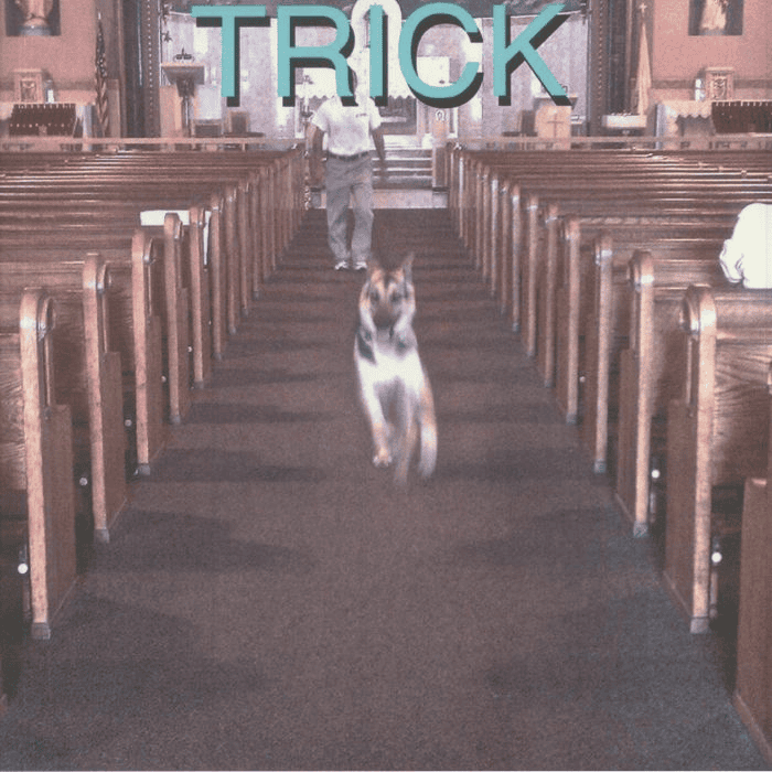 ALEX G - Trick Vinyl