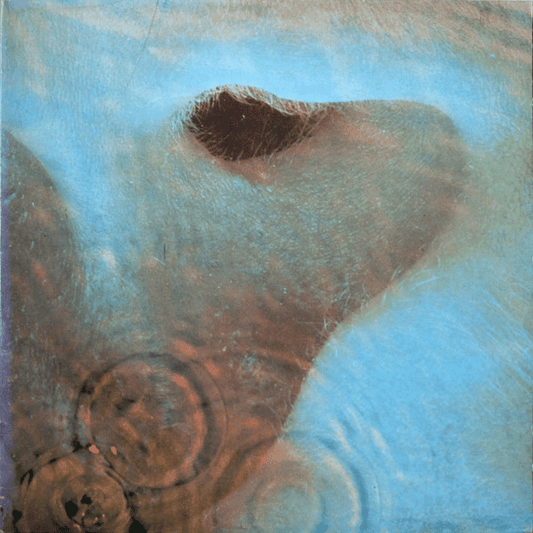PINK FLOYD - Meddle (VG+/VG+) Vinyl