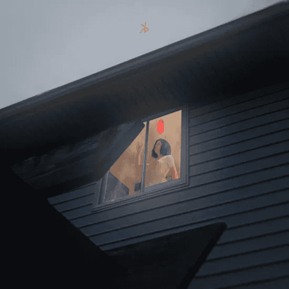 KILLS BIRDS - Crave Vinyl