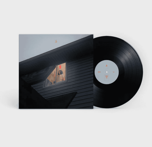 KILLS BIRDS - Crave Vinyl