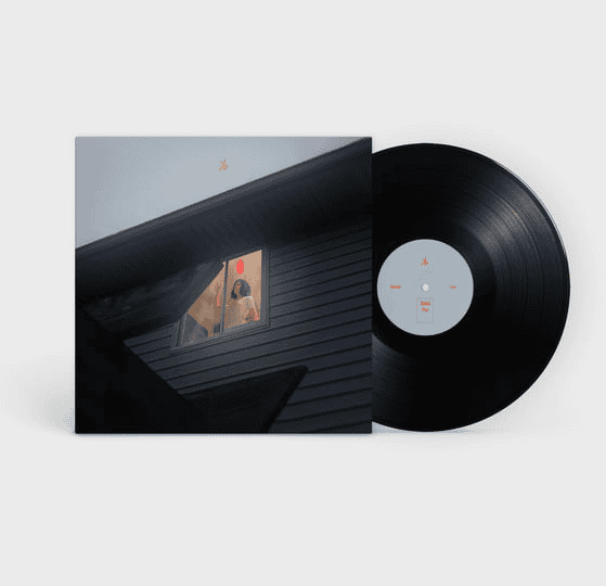KILLS BIRDS - Crave Vinyl