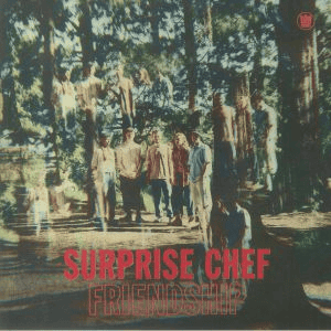 SURPRISE CHEF - Friendship Vinyl