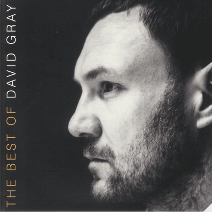 DAVID GRAY - The Best Of David Gray Vinyl