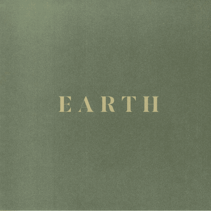 SAULT - Earth Vinyl