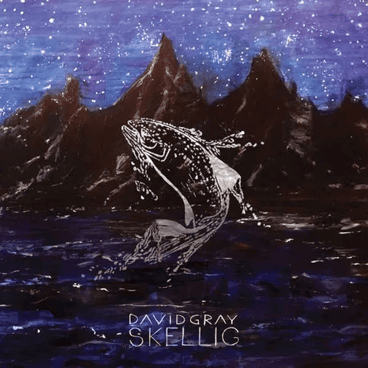 DAVID GRAY - Skellig Vinyl