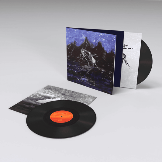 DAVID GRAY - Skellig Vinyl