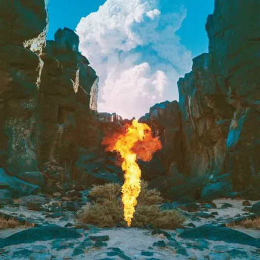 BONOBO - Migration Vinyl