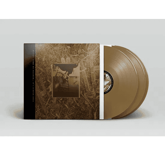 PIXIES - C'mon Pilgrim ... It's Surfer Rosa Vinyl