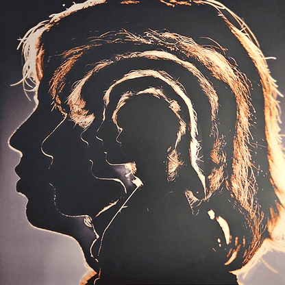 THE ROLLING STONES - Hot Rocks (1964 - 1971) Vinyl